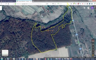 vanzare-20-hectare-padure-in-jud-neamtrazboieni
